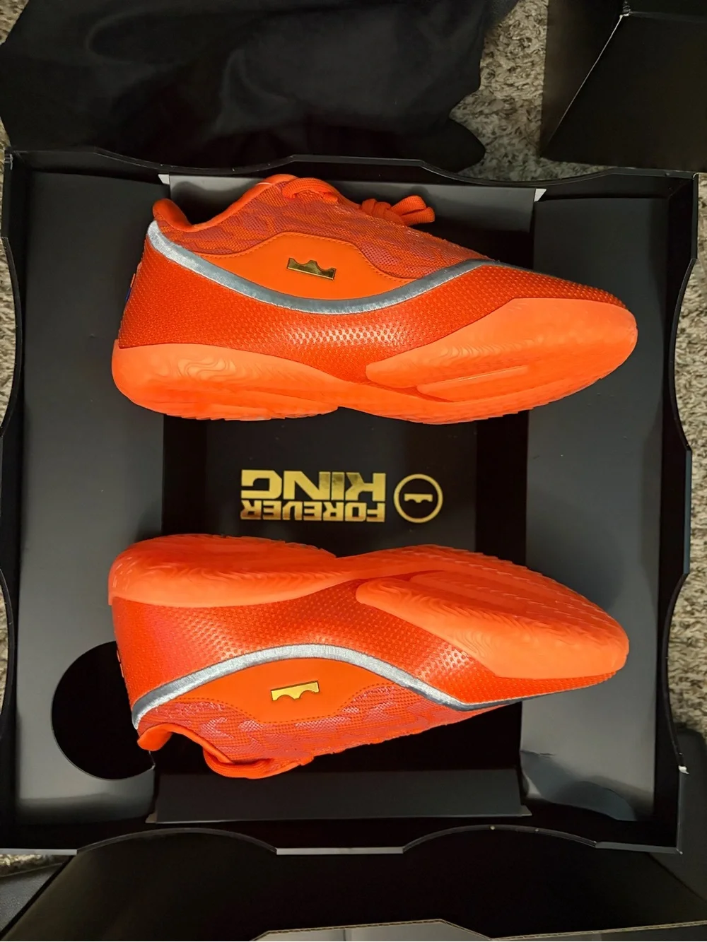 Size - 8 Nike LeBron 23 shoe bag (translucent outsole)